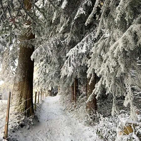Gospodarstwo agroturystyczne Haus Berchtold Am Huettersberg *