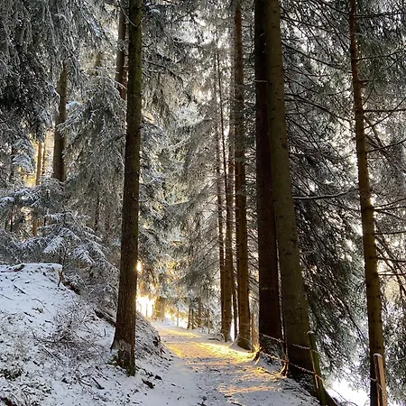 Gospodarstwo agroturystyczne Haus Berchtold Am Huettersberg Doren